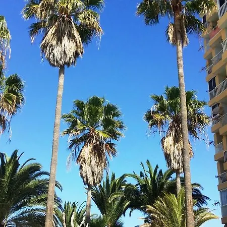 New Near The Beach Apartment Playa de las Americas (Tenerife)