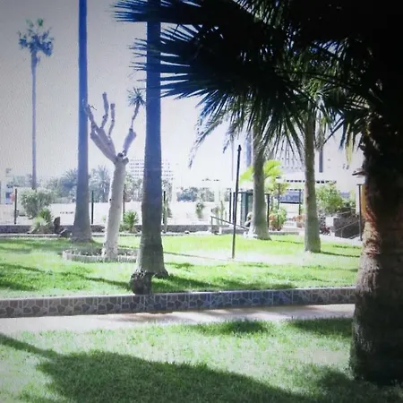 New Near The Beach Playa de las Americas (Tenerife)